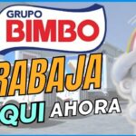 🔍👀 ¿Buscas trabajo sin experiencia de lunes a viernes en Barcelona? ¡Aquí te contamos cómo conseguirlo!