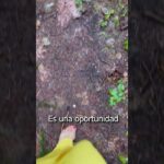 🎓 Cada experiencia es un aprendizaje: Descubre cómo crecer y aprender a través de tus vivencias 🌟