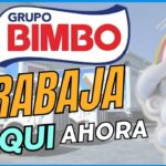 🏭 ¿Quieres un empleo en fábricas sin experiencia? ¡Descubre cómo conseguirlo!