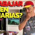 👀😲 Descubre cómo encontrar empleo sin experiencia en Tenerife ¡y dar el primer paso hacia tu carrera! 💼🌴