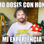 🍄 ¡Explora una inolvidable 🌟 experiencia con hongos 🍄 y descubre todo lo que debes saber!