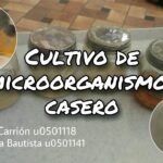 🔬🔬💪 Una Experiencia Práctica de Laboratorio: Cultivo de Microorganismos que Te Sorprenderá