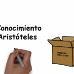 🧠💡 Descubre la Experiencia según Aristóteles: ¡Una visión única del conocimiento!