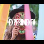 🌟 Descubre la 💫 Experiencia Única 💫 que cambiará tu vida para siempre