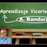 🔍🌟 Descubre la emoción de la Experiencia Vicaria: Un viaje introspectivo hacia nuevos horizontes 🔍🌟