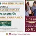 🚀💼 ¡Trabajos en León sin experiencia: Descubre cómo comenzar tu carrera laboral en esta increíble ciudad!