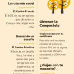 🚶🎒💡Cómo prepararse para el Camino de Santiago sin tener experiencia: Consejos y recomendaciones